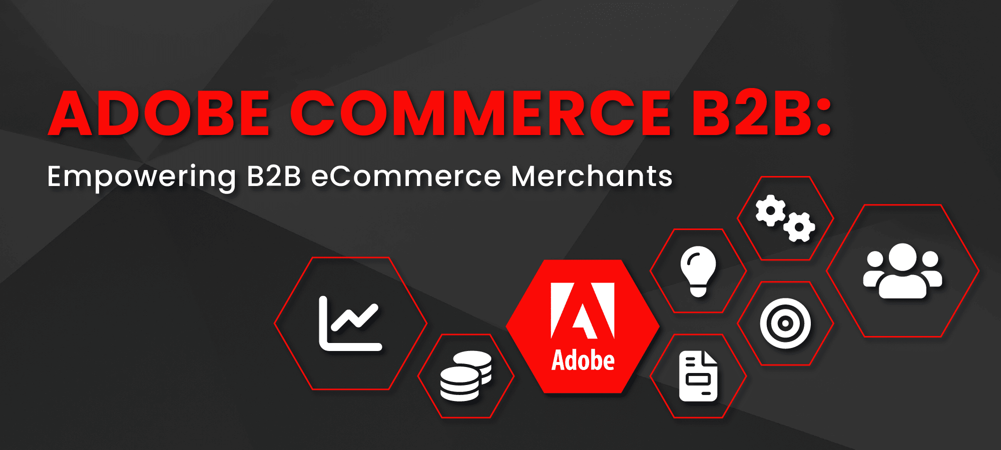 Adobe Commerce B2B2
